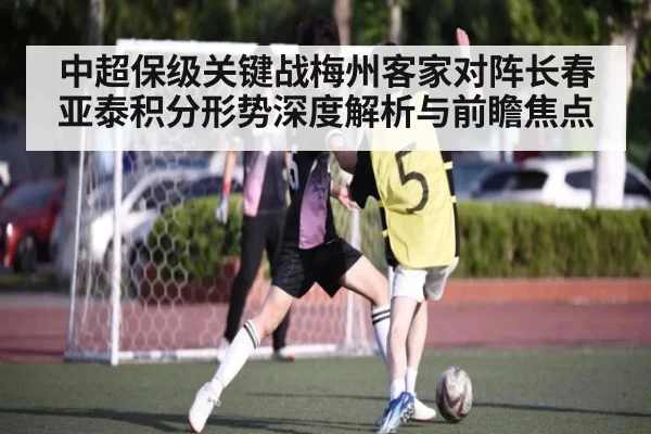 中超保级关键战梅州客家对阵长春亚泰积分形势深度解析与前瞻焦点